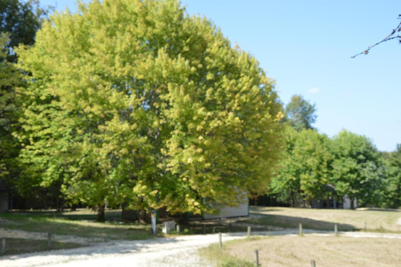 La Foret Enchantee Cornille  Экстерьер фото